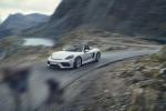 Porsche 718 Spyder 2019 года (WW)